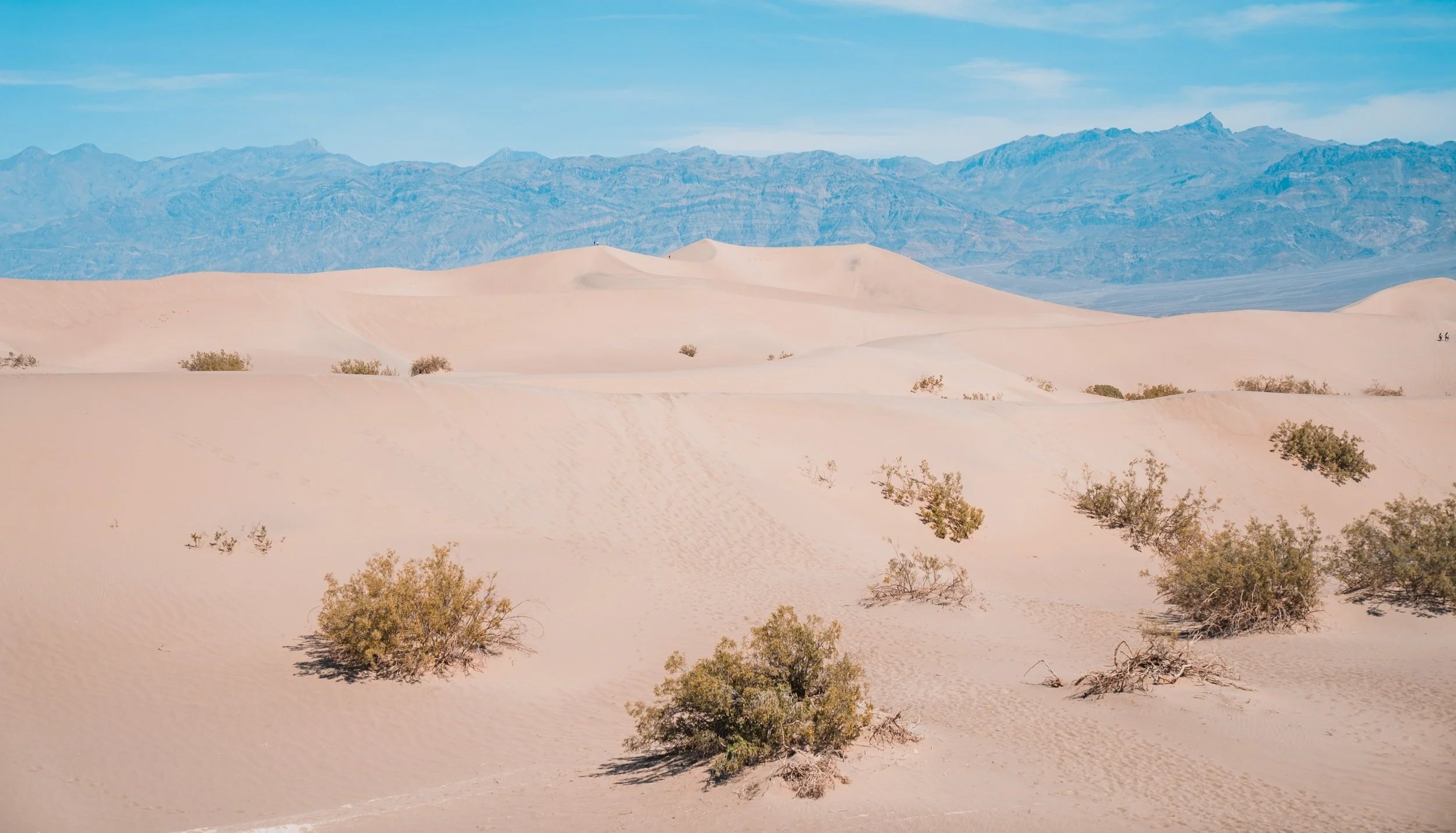 Mesquite flat sand dunes in death valley NP