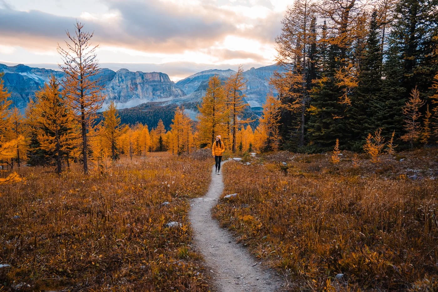 a woman in a yellow jacket hiking on a dirt trail with fall colors around her and mountains in the background