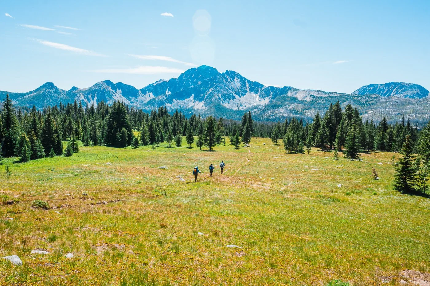 three hikers walking on a trail through a green meadow with trees and mountains in the background in the pasayten wilderness