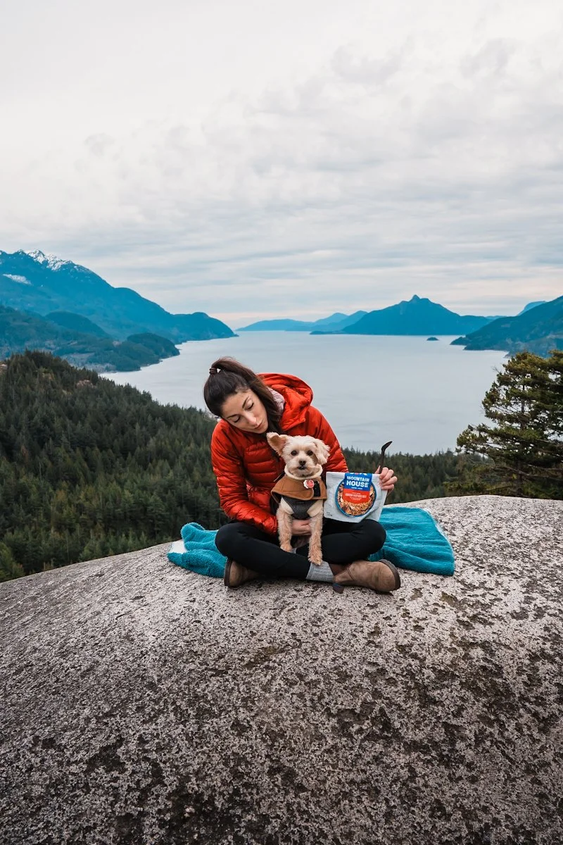 mountains-house-squamish-bob.jpg
