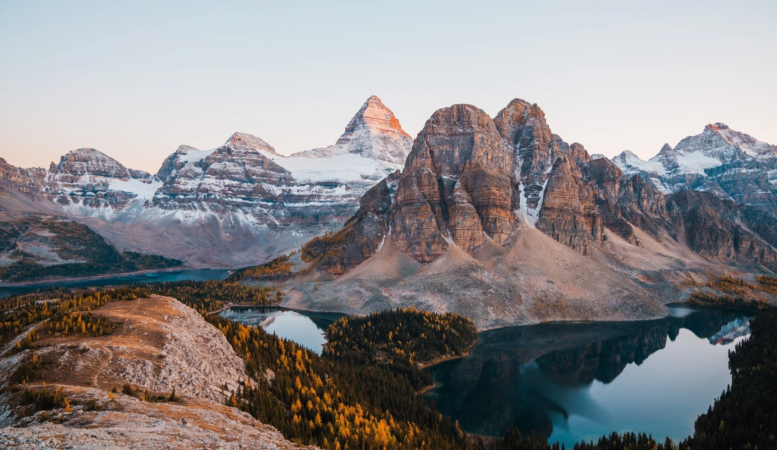 mount assiniboine sunset during peak larch season