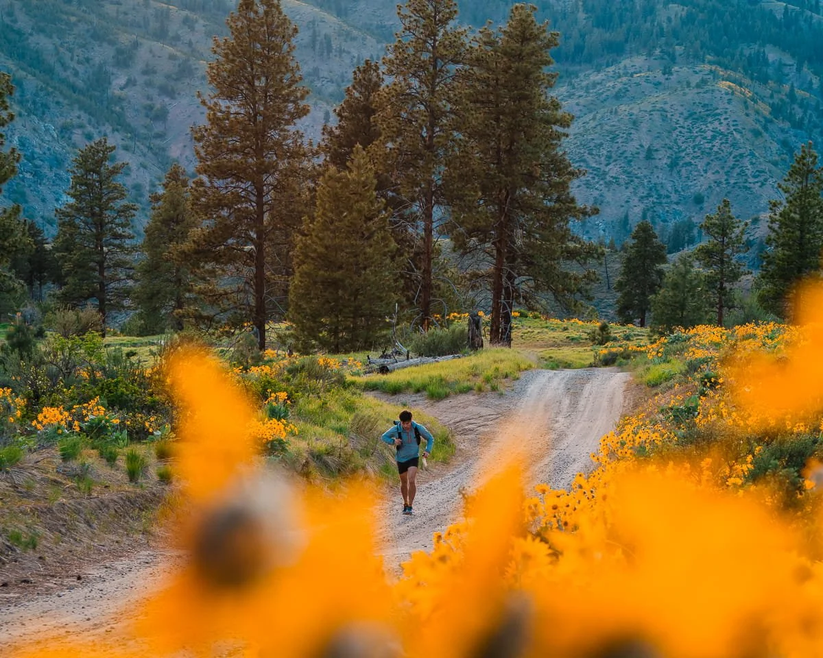 a man running up a dirt road with yellow balsamroot flowers surrounding and ponderosa pine trees in the background