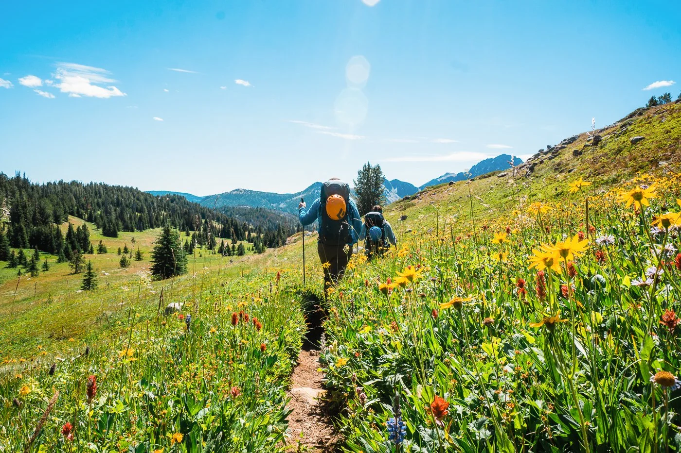 Backpackers hiking through a meadow of mid-august flower bloom near Remmel Lake