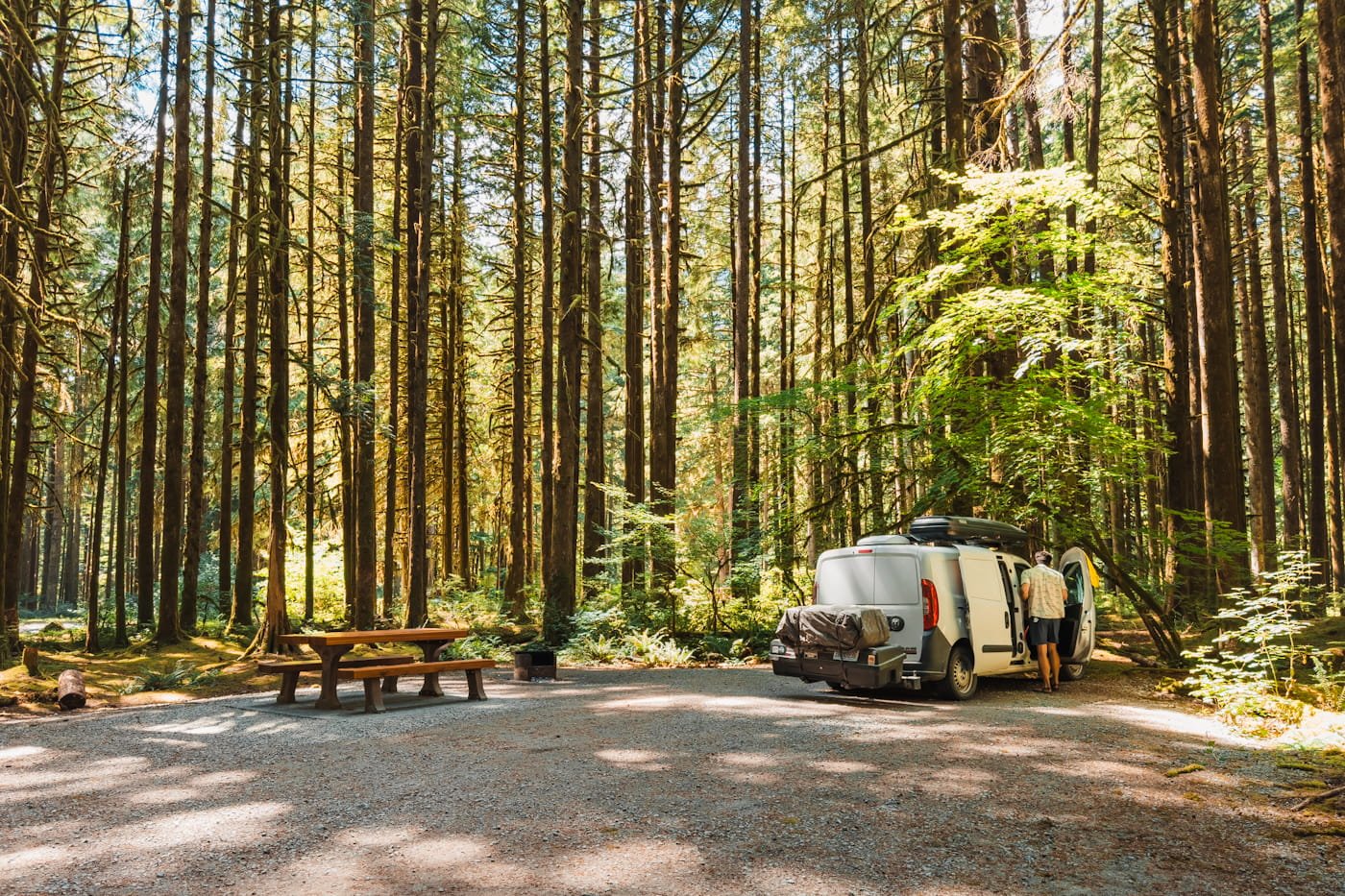 a camper van and picnic table at a forested campsite in golden ears provincial park