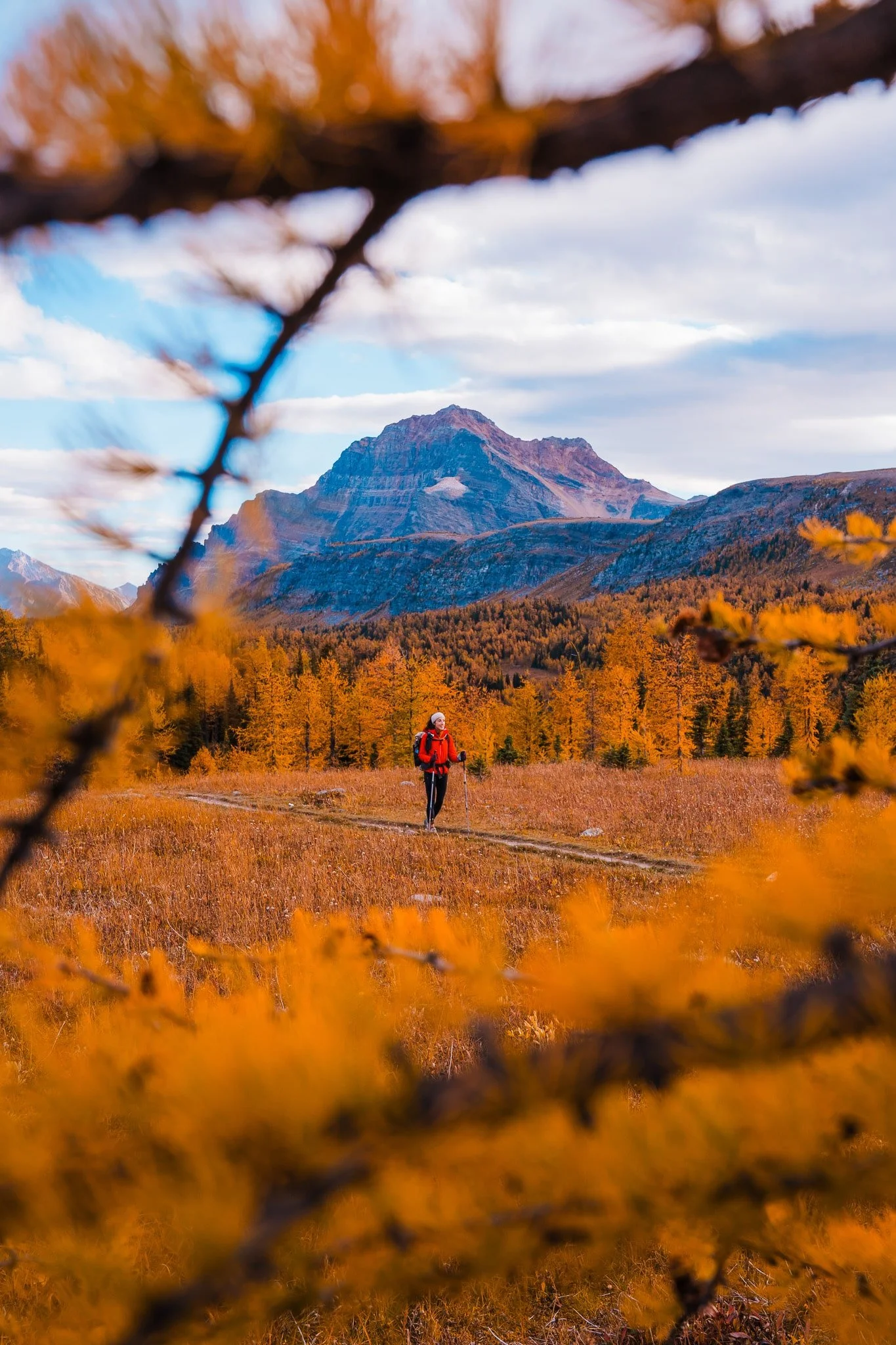 a woman hiking wearing red, framed by golden larches with a mountain and more larches in the background