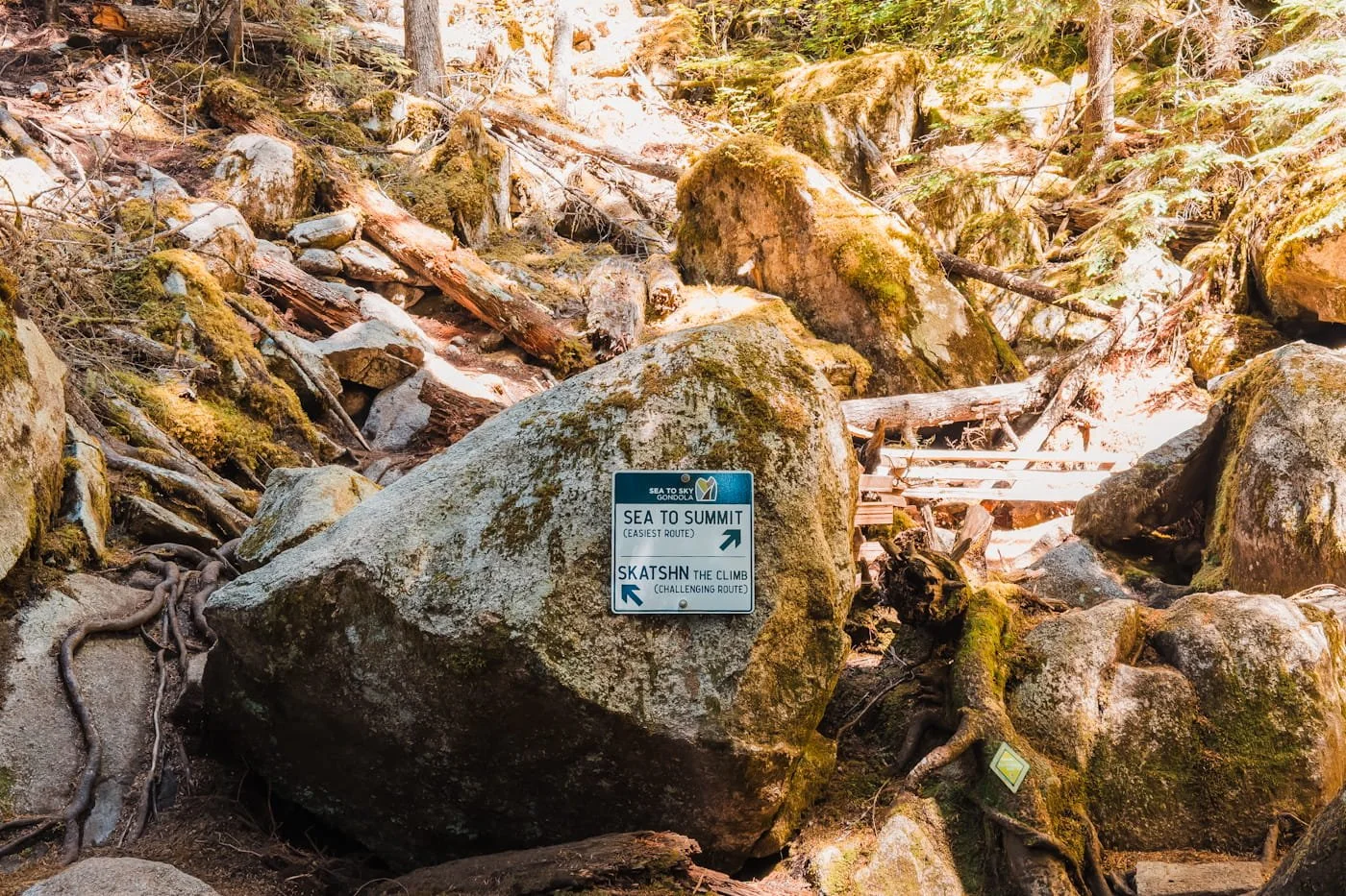 picture of of the sea to summit and The Climb fork