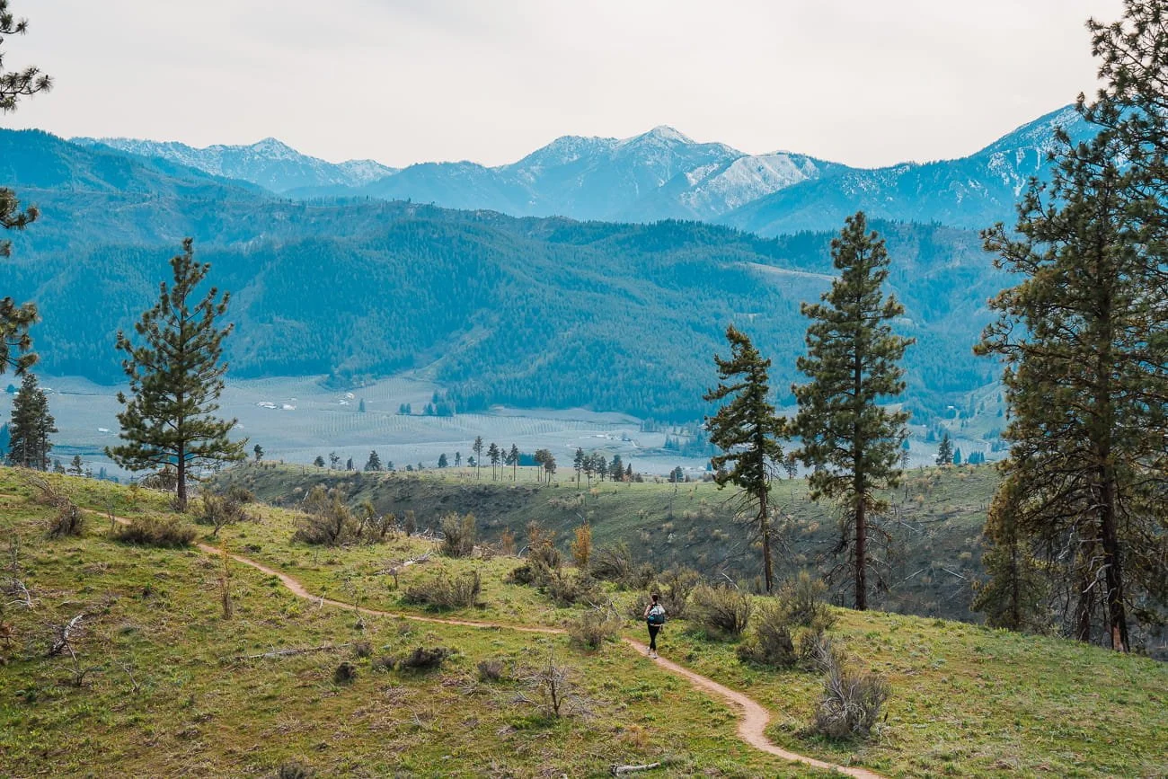 a tiny hiker walking on a trail through green plants with mountains and hills in the background