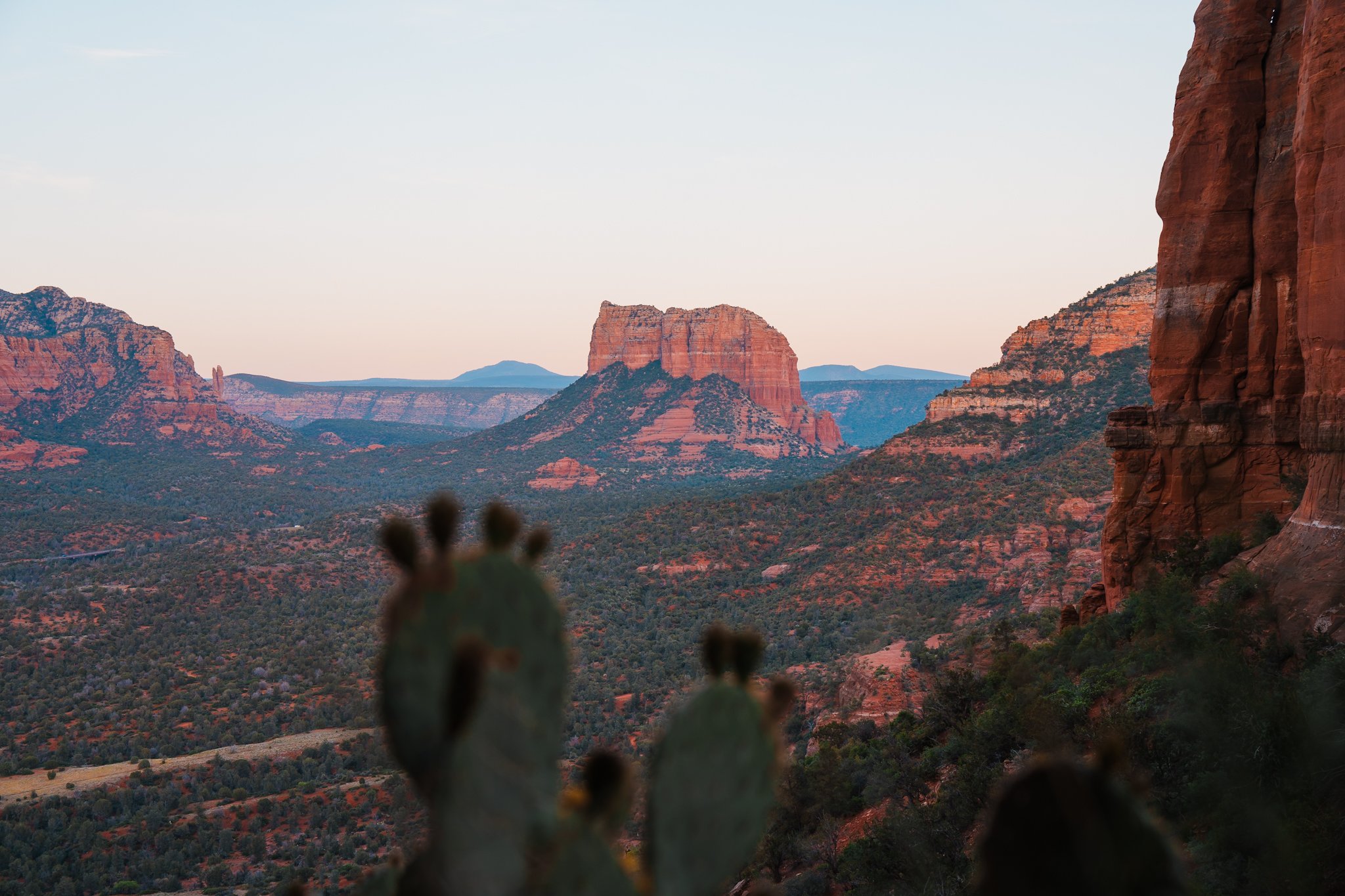 red rocks and prickly pears glow in the golden sunset light