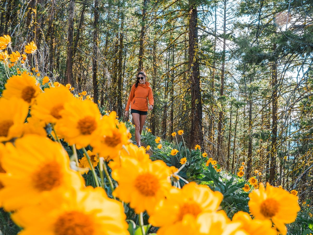 a woman wearing an orange fleece, hiking next to bright yellow wildflowers, with forested trees in the background