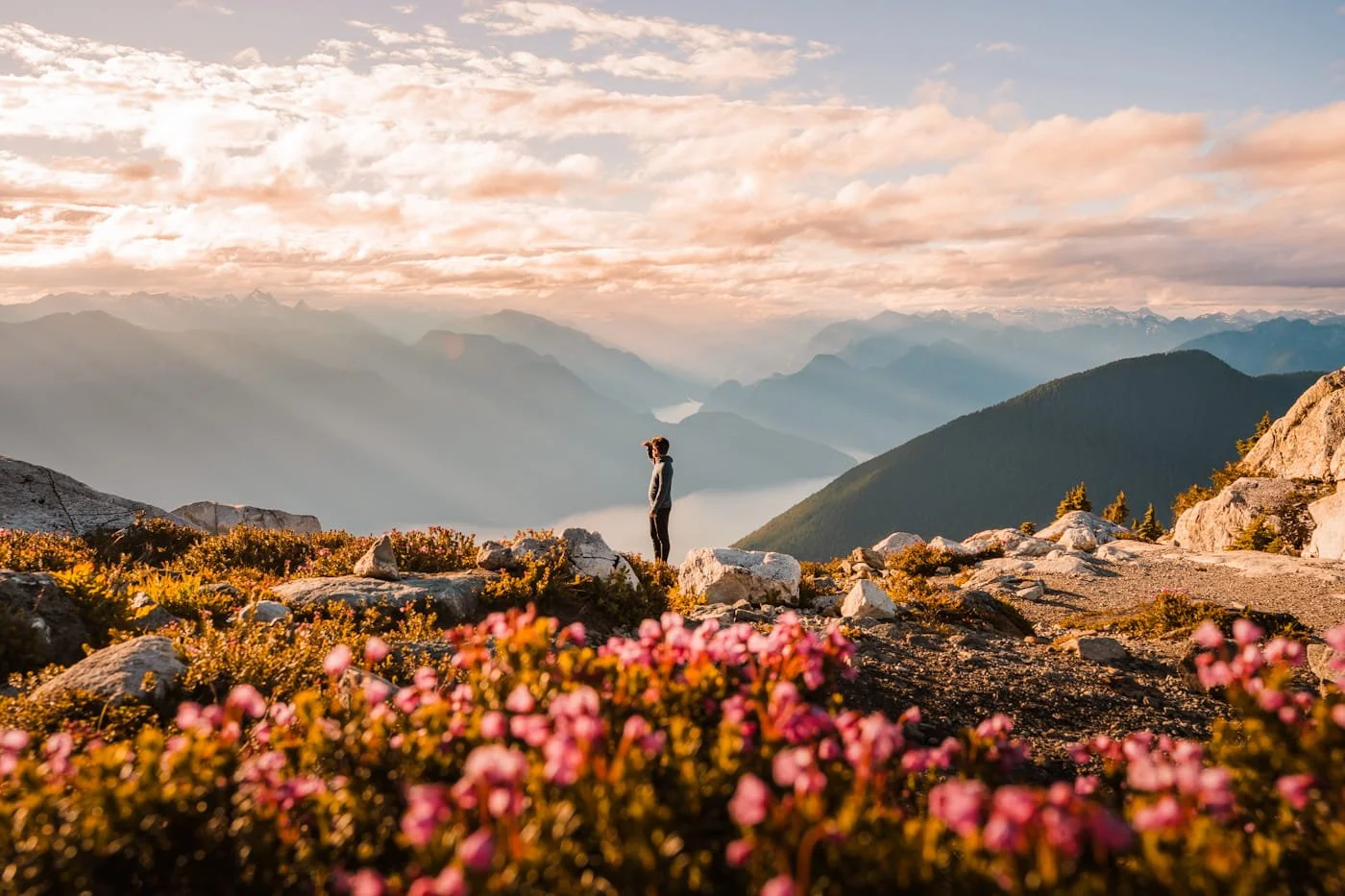 Man looking at view from Panorama Ridge camping area in Golden Ears Provincial Park