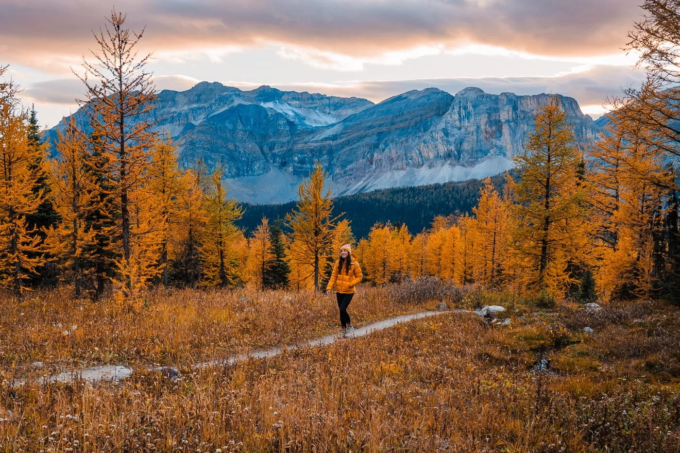 a woman in a yellow puffy, walking on a trail surrounded by fall colors and larches at healy pass in banff