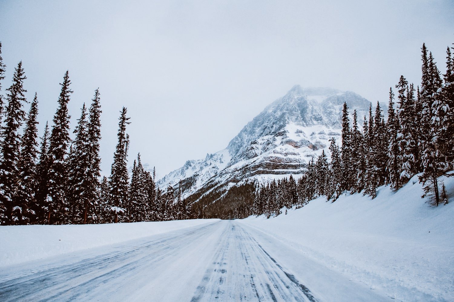 a snow cover road (icefields parkway) with pine trees on either side and a mountain in the distance