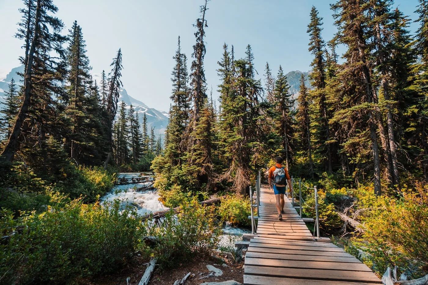 wooden bridge just before reaching upper Joffre Lake