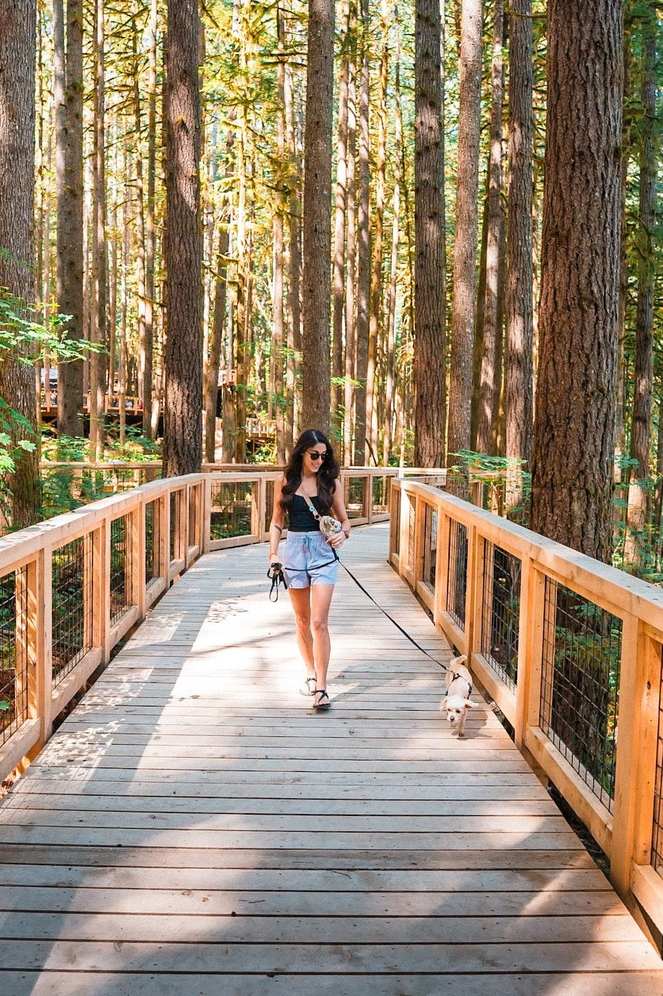 girl and dog walking along the boardwalk for the Squamish Canyon park