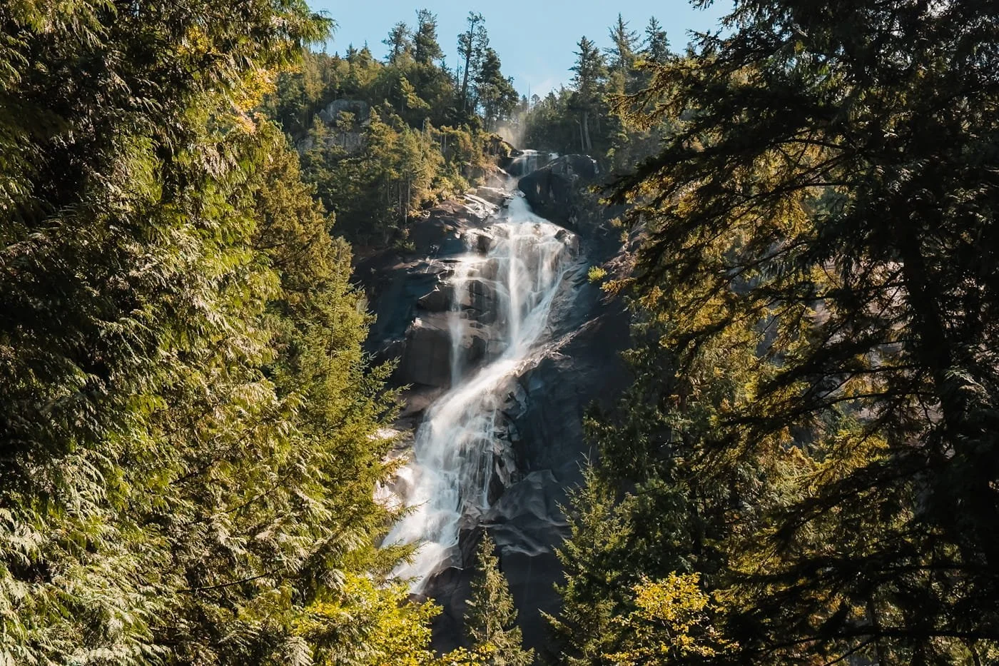 forested views looking up at Shannon Falls near Squamish, BC