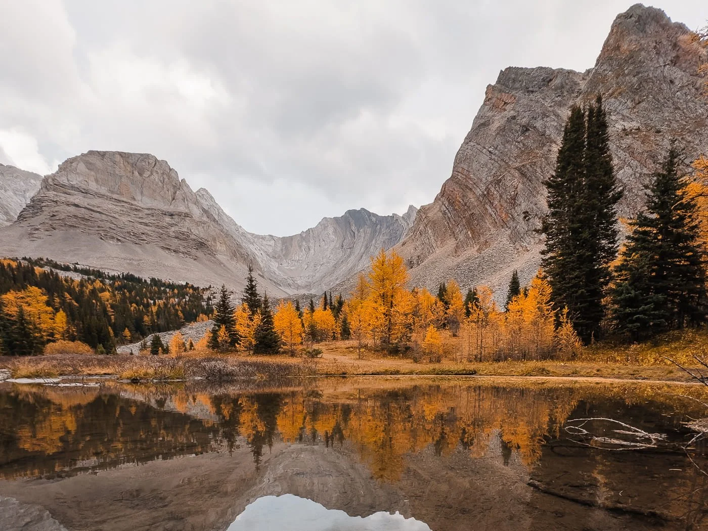 a reflective alpine lake with larches and mountains