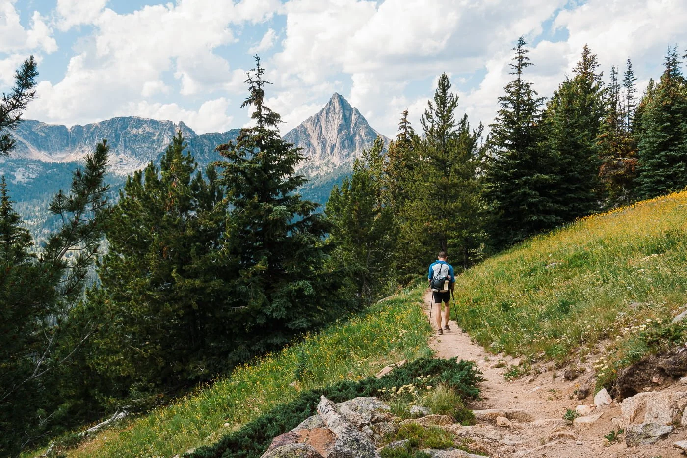A backpacker hiking on a trail with trees in front of him and cathedral peak in the distance