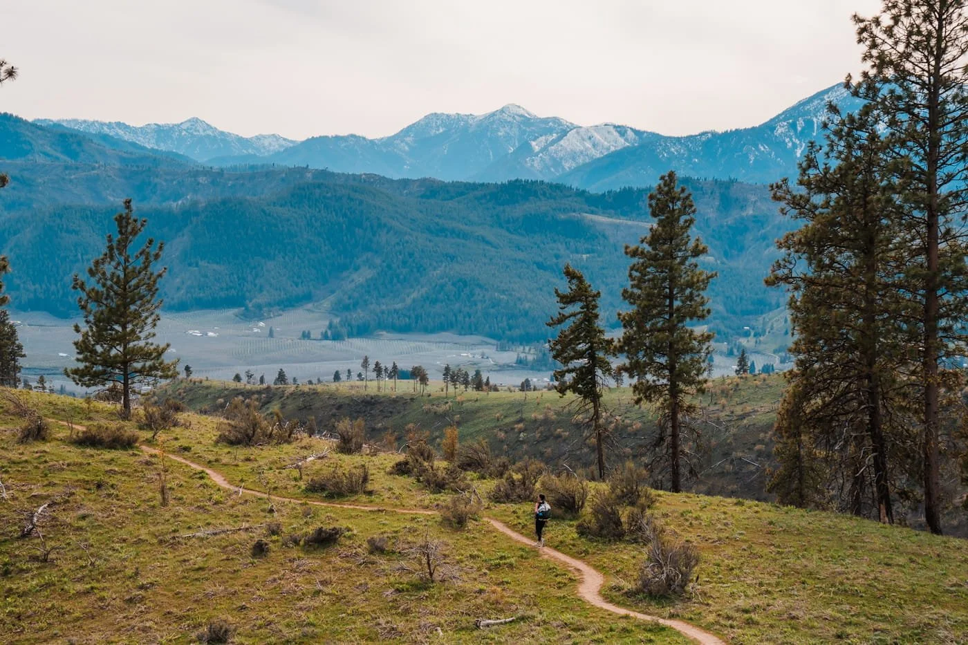 Hiker walking along the trail a top Ollala Canyon Ridge outside of Leavenworth Washington