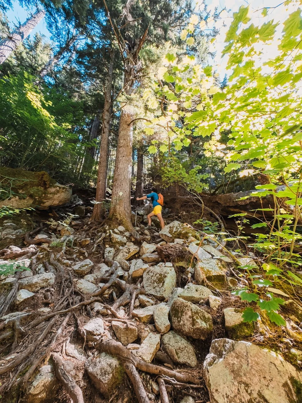 scrambling section along the sea to summit trail