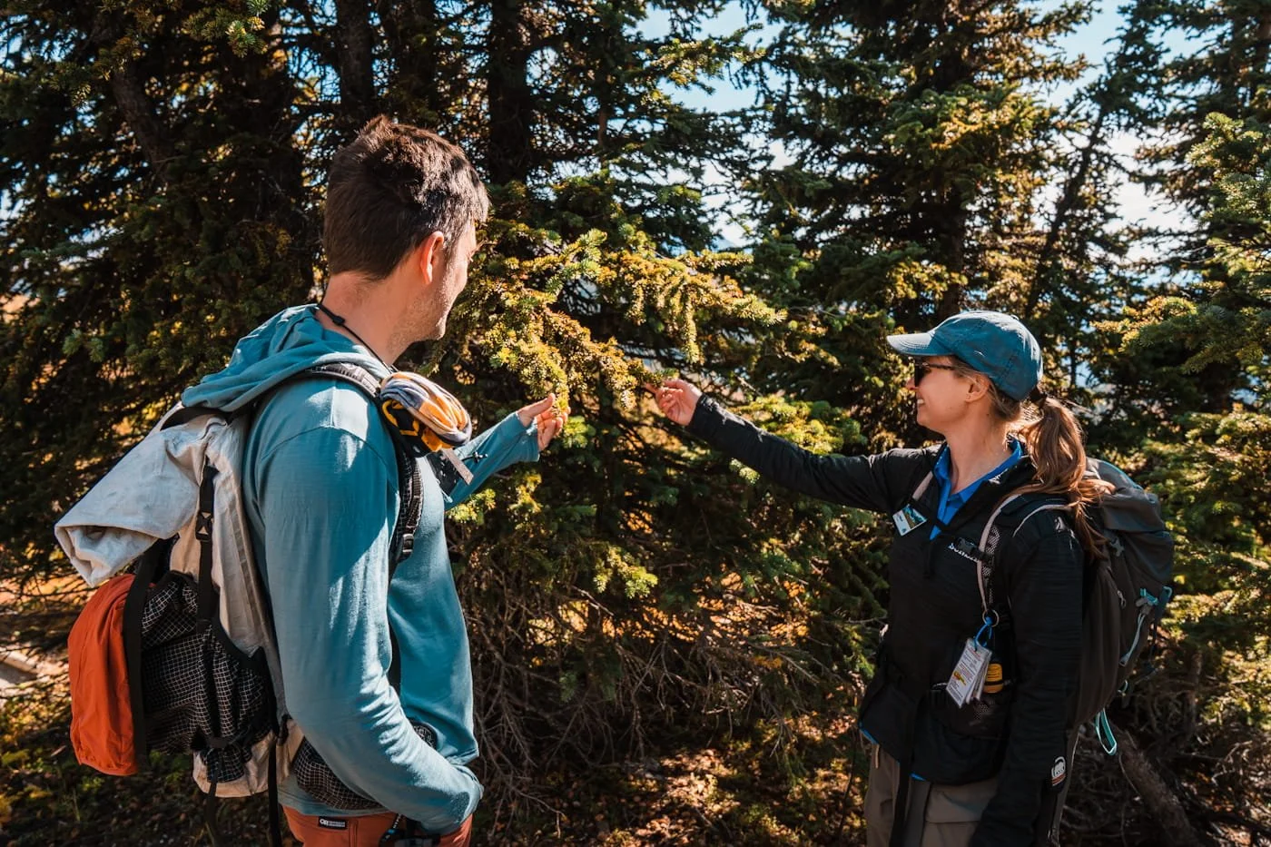 man and woman naturalist looking closely at a tree branch