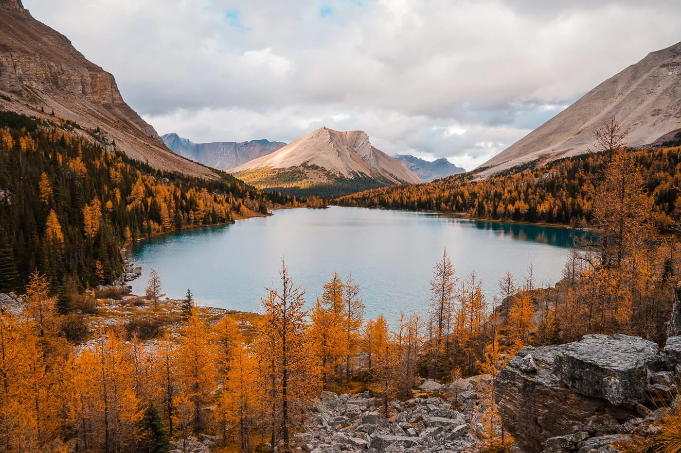 a circular alpine lake with larches surrounding it and rocky mountains in the distance