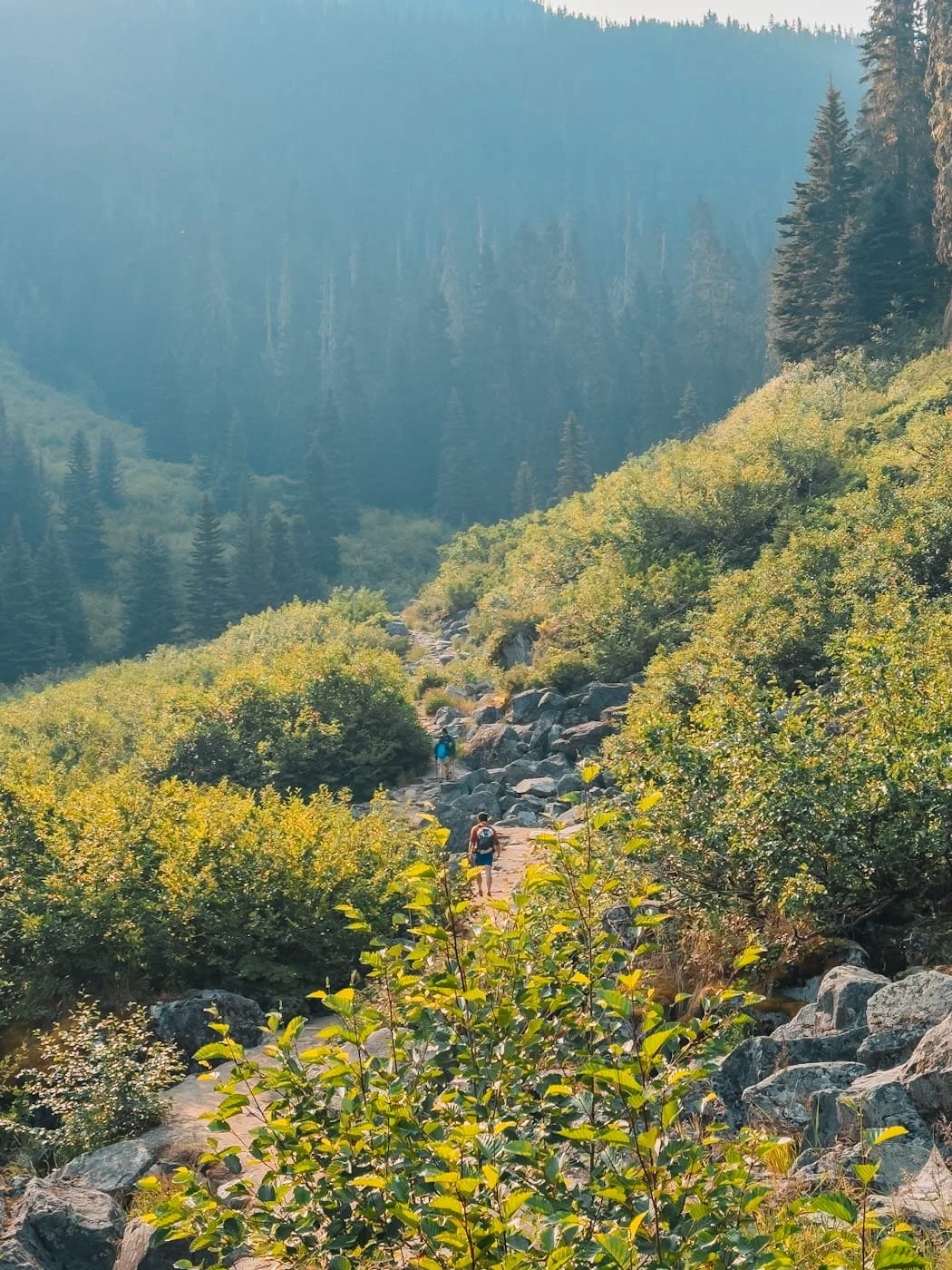 Mountain meadows between lower and middle Joffre Lakes