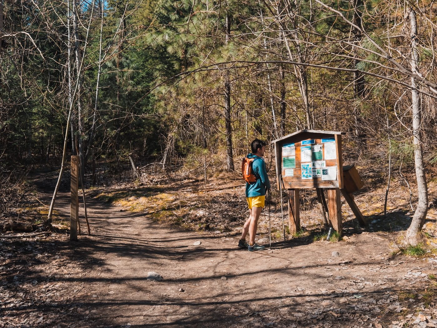 a man reading the trailhead sign at the start of the icicle ridge trailhead