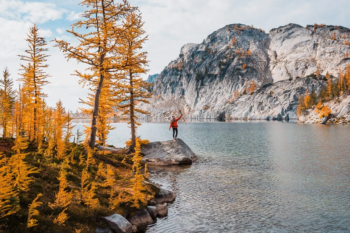 a backpacker in a red jacket, standing on a rock next to an alpine lake and golden larch trees in the core enchantments