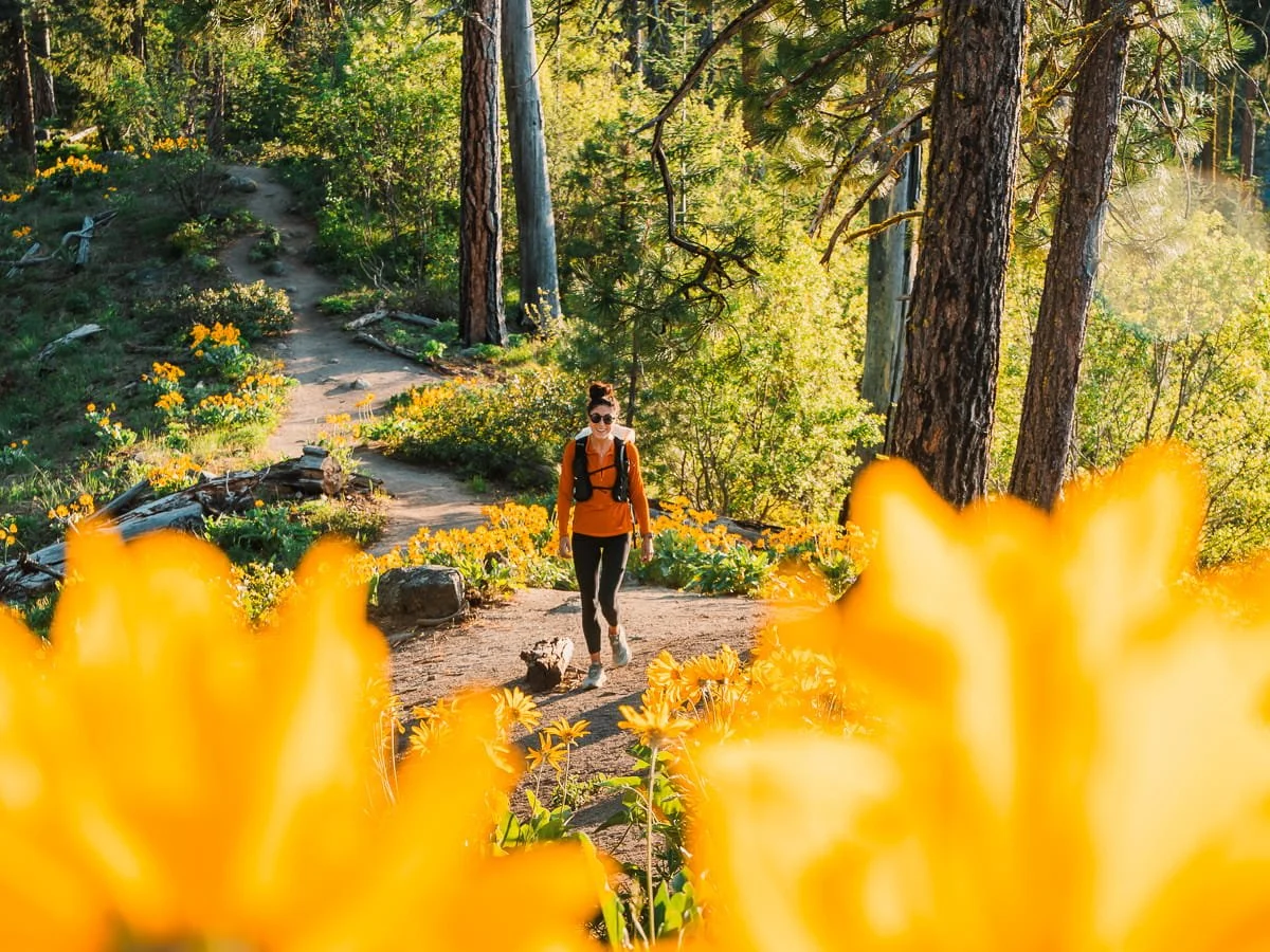 A woman hiking up a trail, wearing an orange top and black leggings, with yellow balsamroot flowers surrounding her in leavenworth