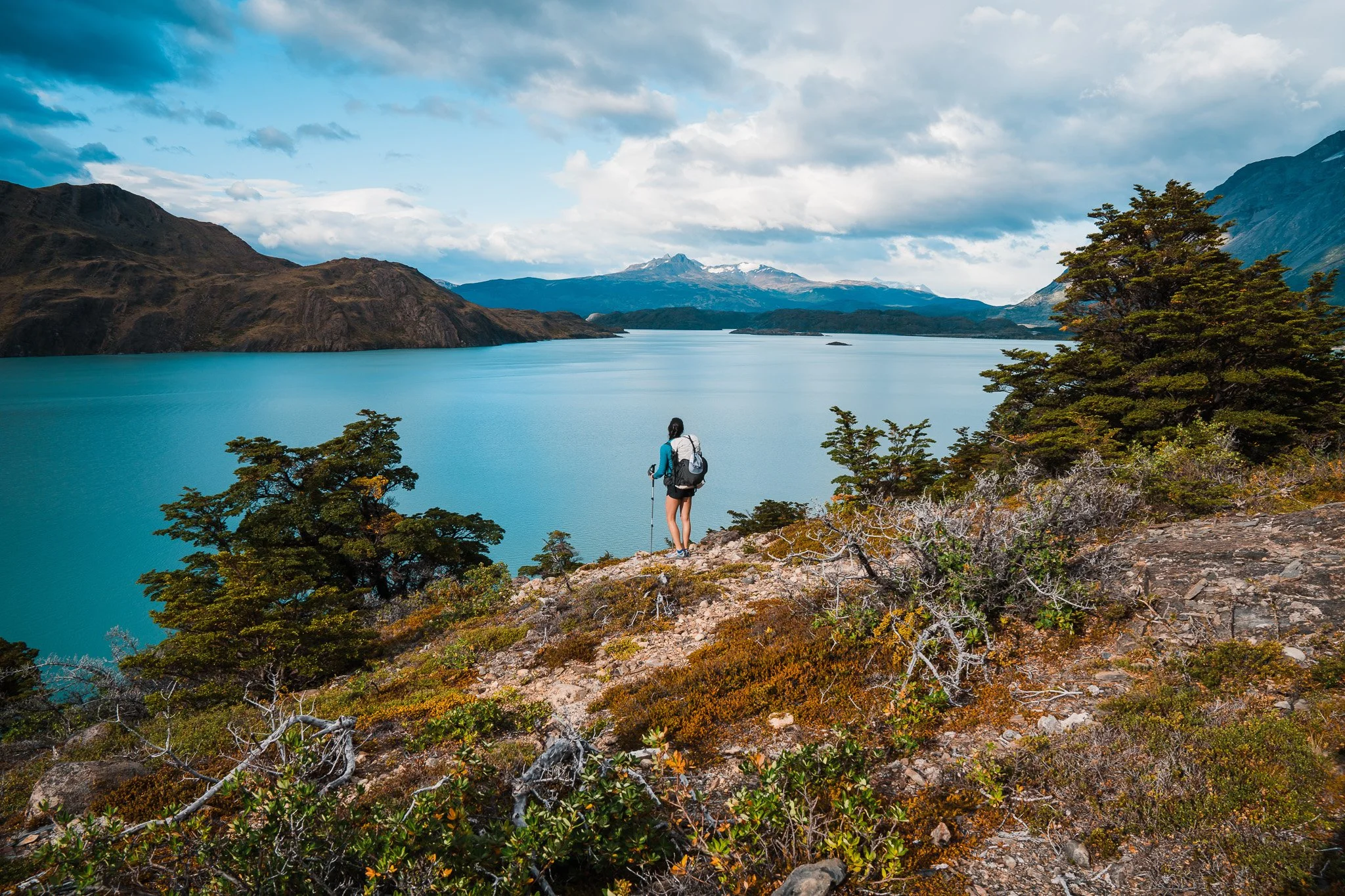 overlooking the Lago Skottsberg