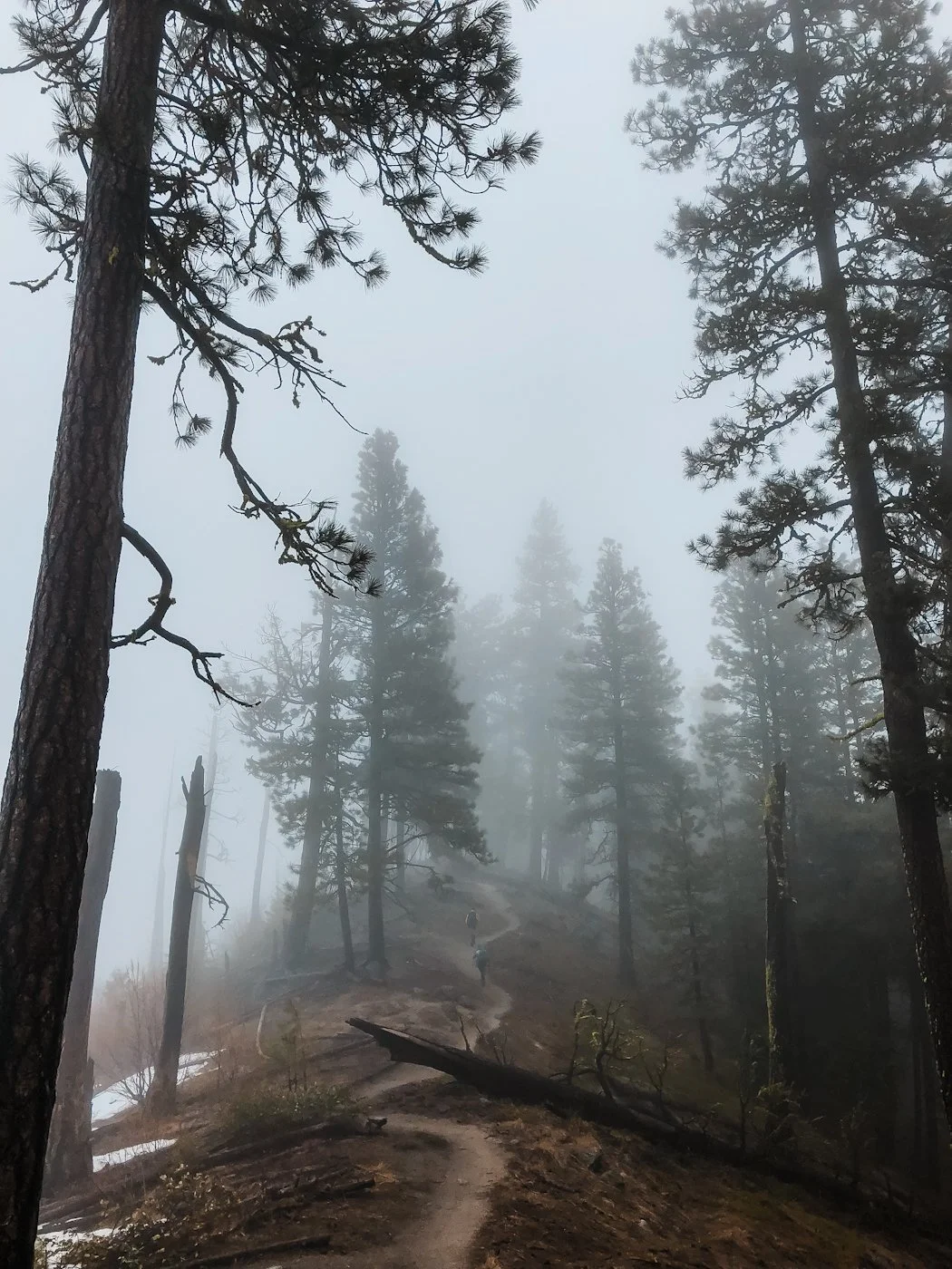 icicle-ridge-foggy.jpg