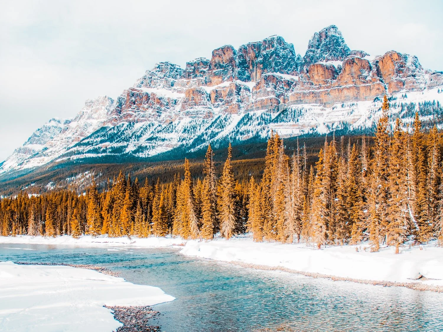 A snowy landscape in Banff, looking at a bright blue river, pine trees, and a snowy castle mountain in the background