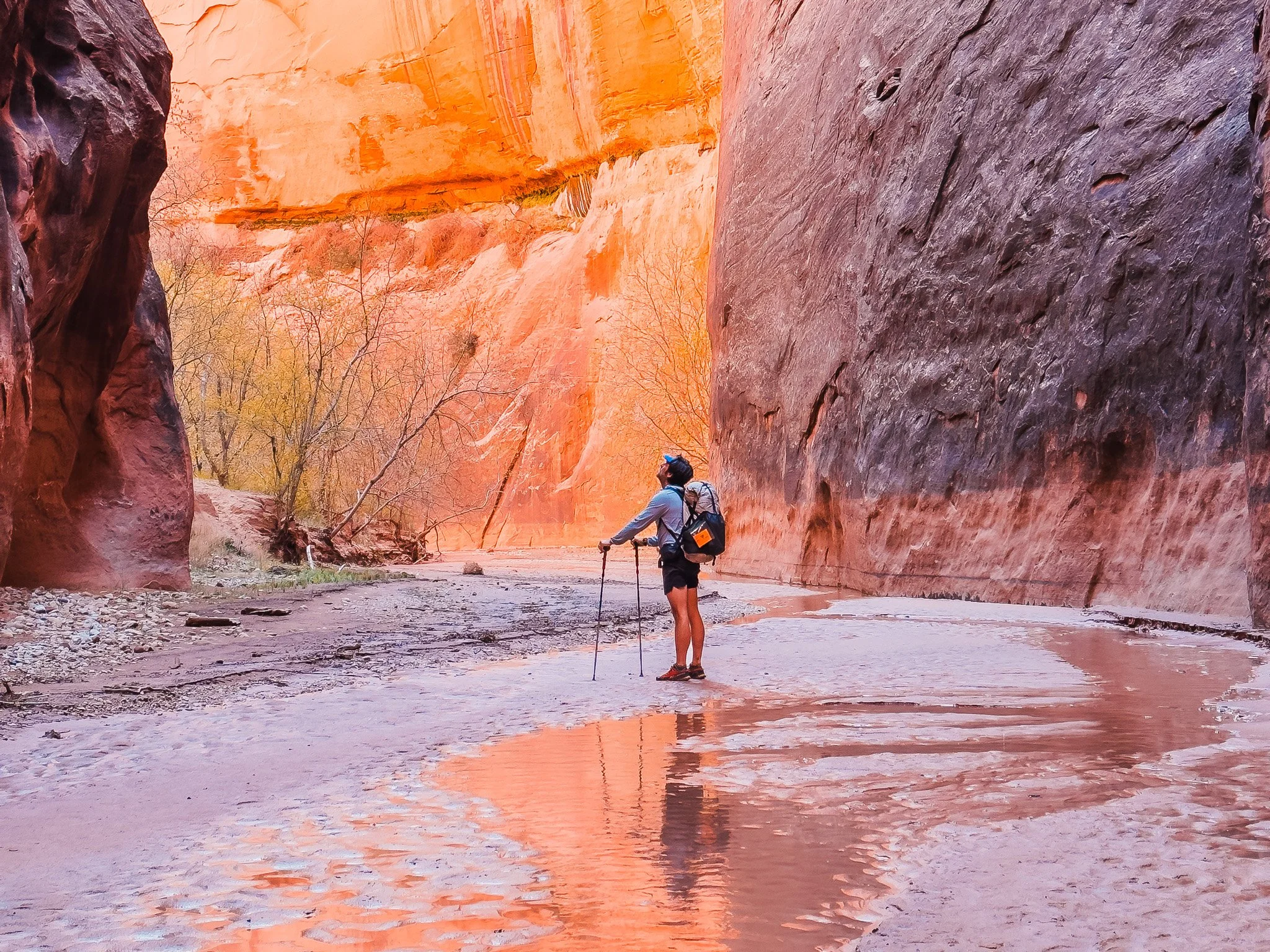 a backpacker wearing an ultralight backpack, standing in a wet and open section of buckskin gulch, looking up at the sandstone canyon walls