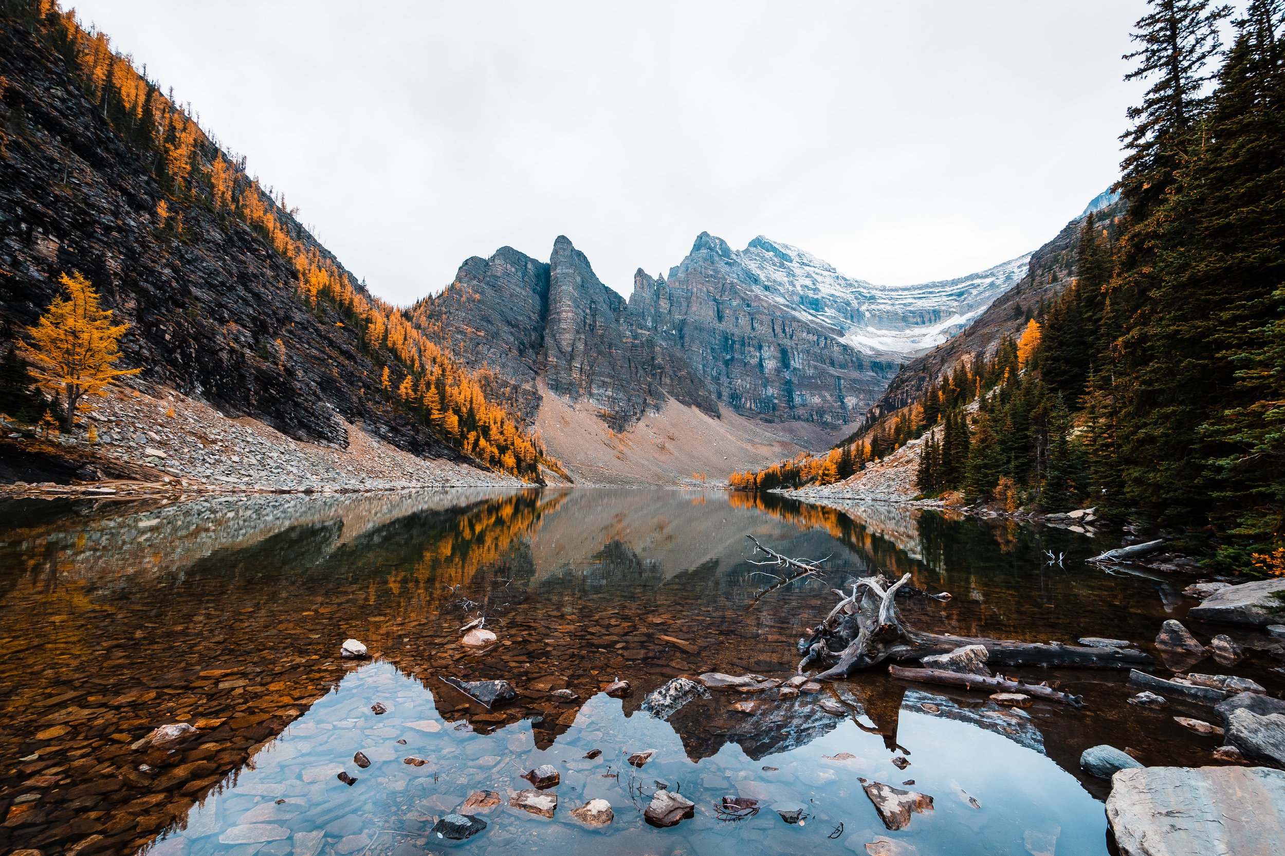 reflective lake agnes during peak golden larch season