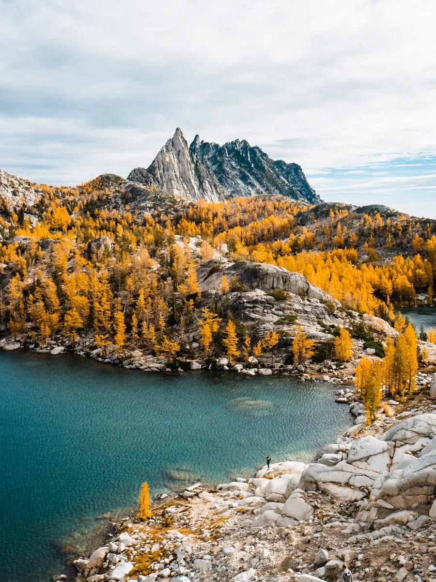 A bright blue alpine lake surrounded by golden larch trees with a rocky Prusik Peak in the background and a tiny hiker standing on the shore