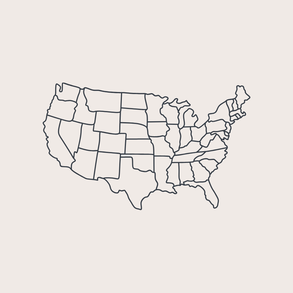icon of the USA with states