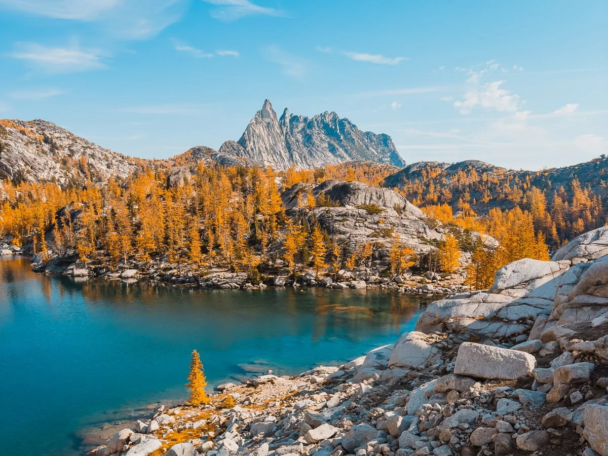 Golden larches and a bright blue alpine lake, with rocky Prusik Peak in the background