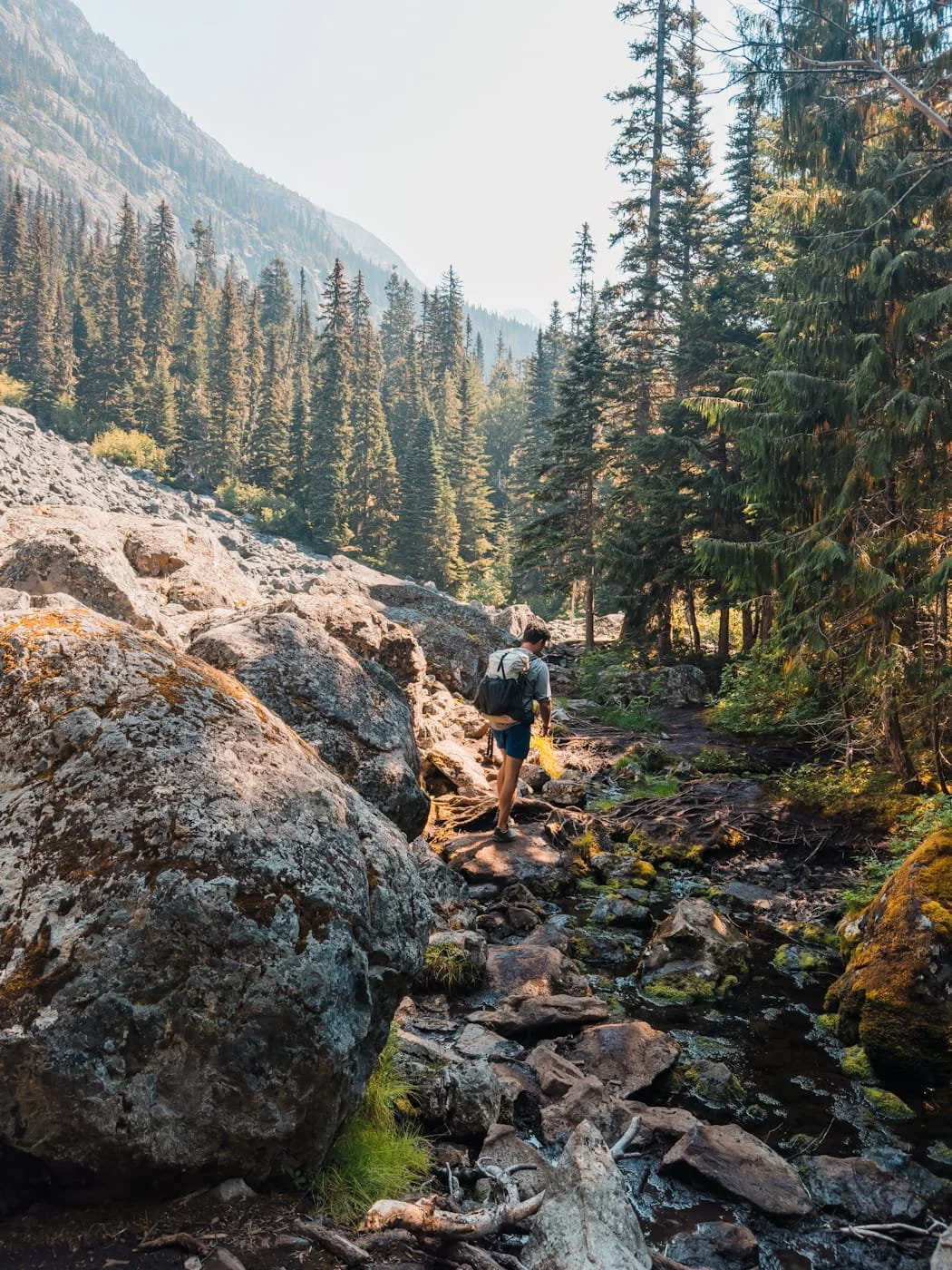 male backpacker along a section of the Wedgemount Lake trail 