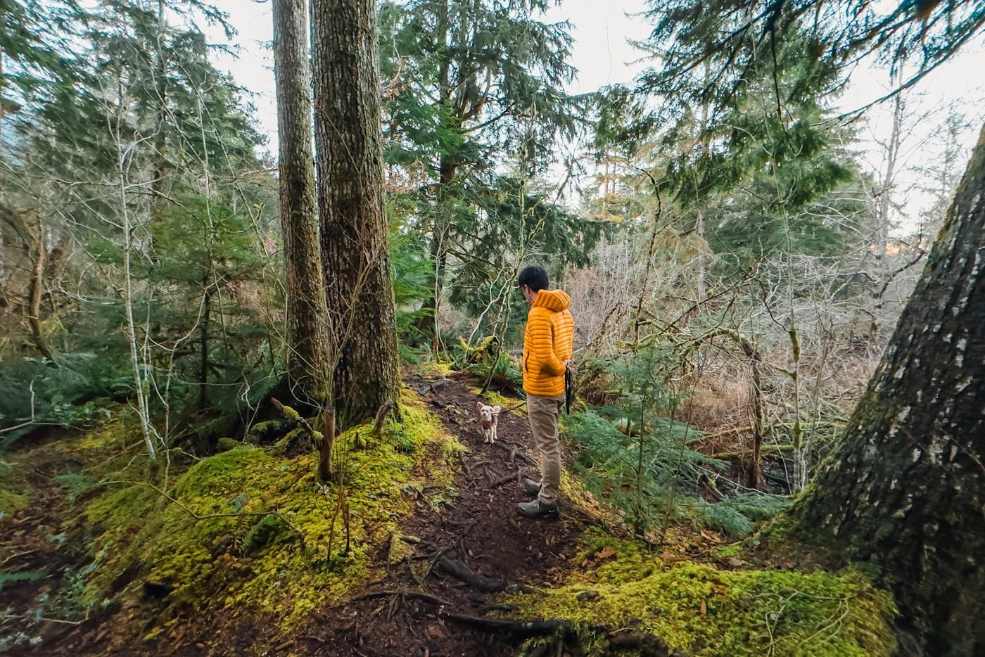 man and dog walking along the Squamish estuary trails