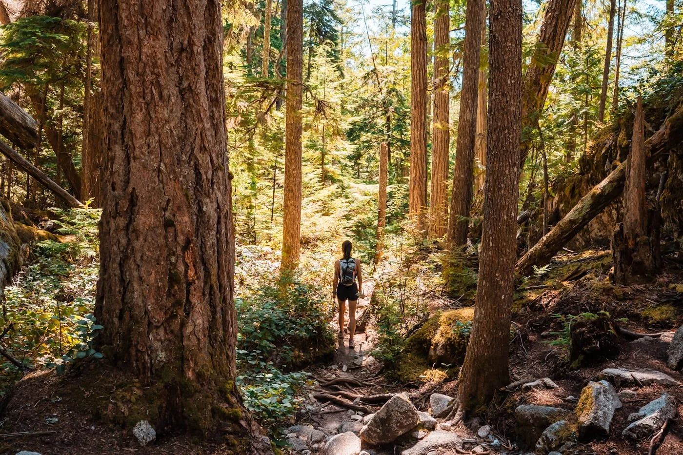 Girl hiking along the forested and few flat sections on the Sea to Summit Trail