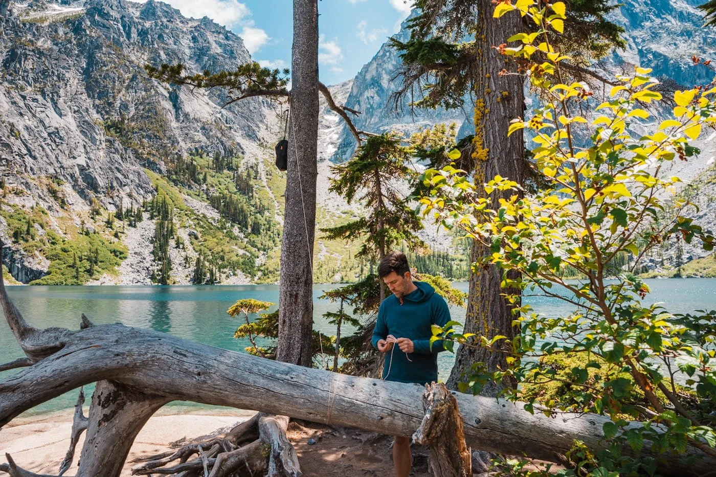 a man setting up a bear hang in a tree with mountains in the background