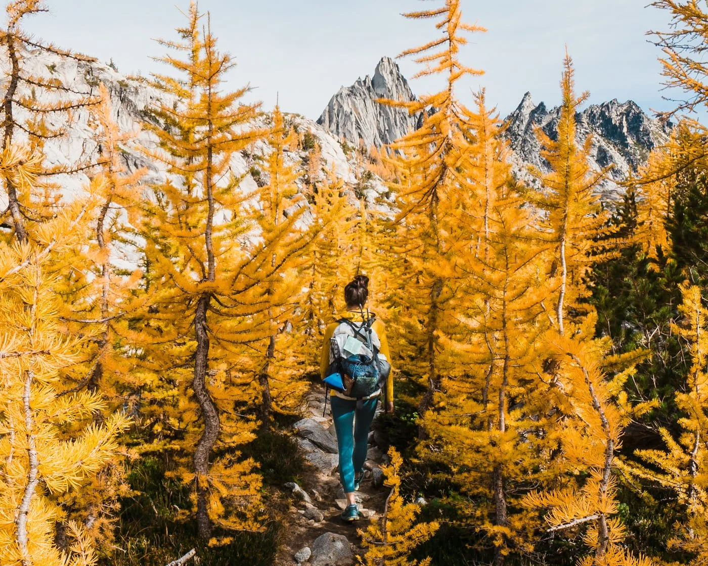 a hiker on a trail through a tunnel of golden larches, wearing a hyperlite mountain gear backpack