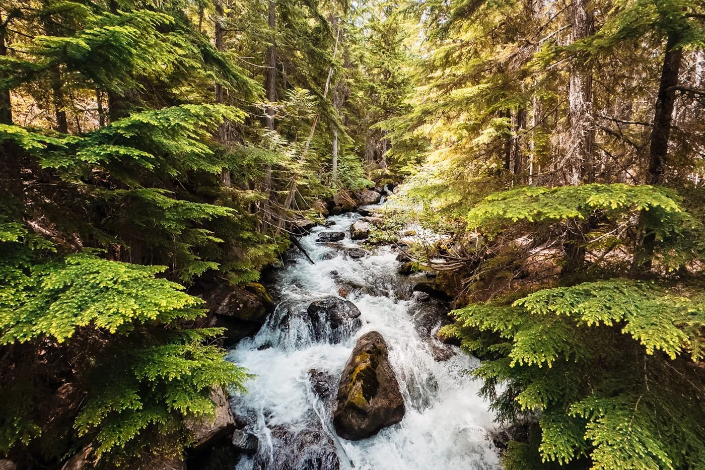 Mountaineer creek along the lake stuart trail