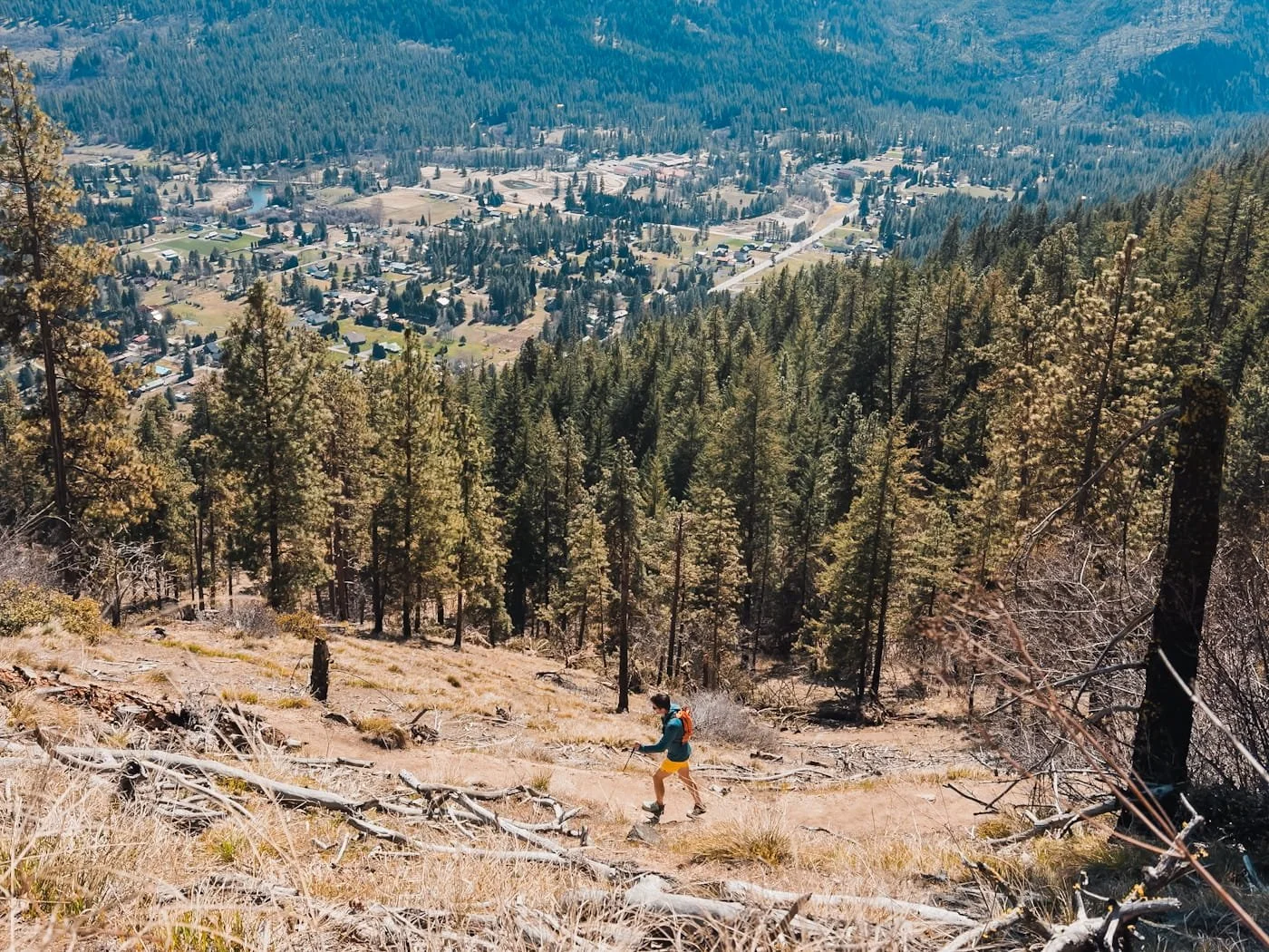 A hiker on a dusty trail with trees in the background