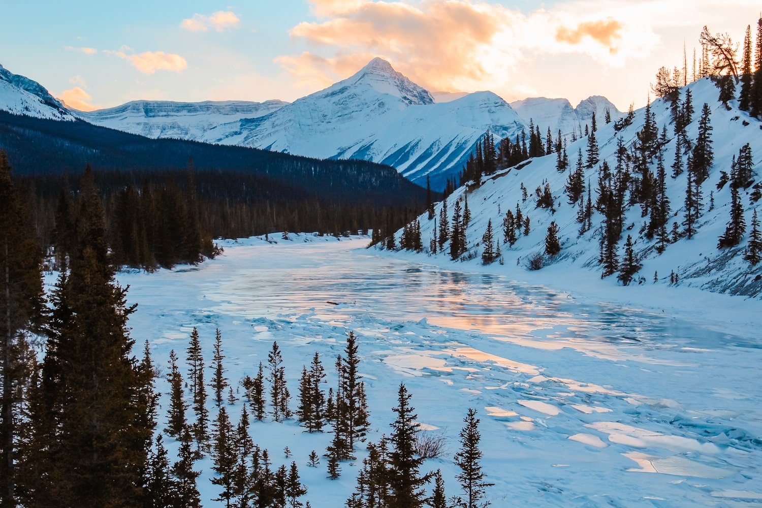 a frozen river, reflecting the sunset on the ice, with snow and pine trees on either sides and a big snowy mountain in the distance along icefields parkway near banff