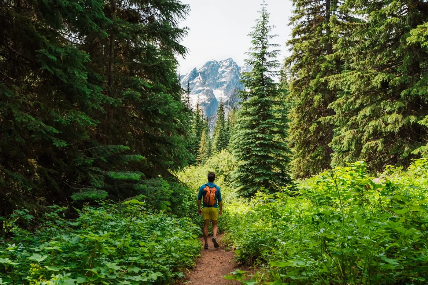Mount stuart in the distance as seen from the lake stuart trail
