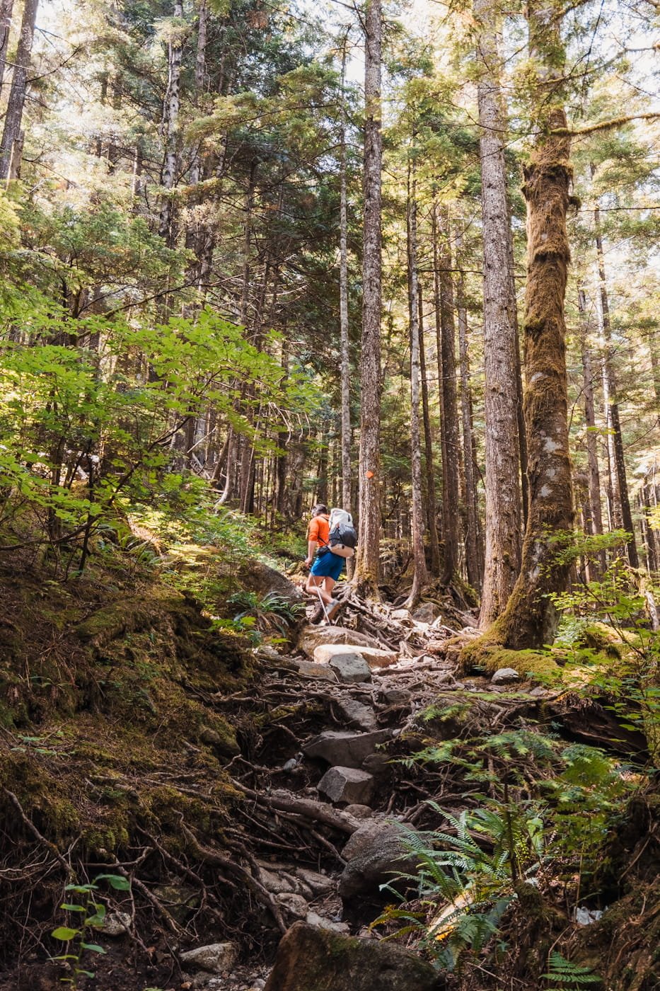 golden-ears-steep-trail.jpg