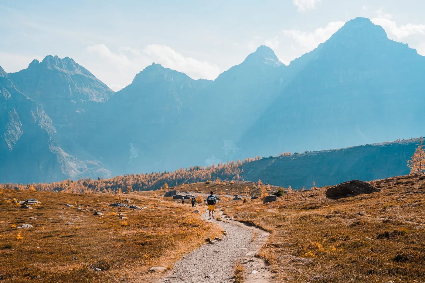 a hiker walking through larch valley in banff with big mountains in the background