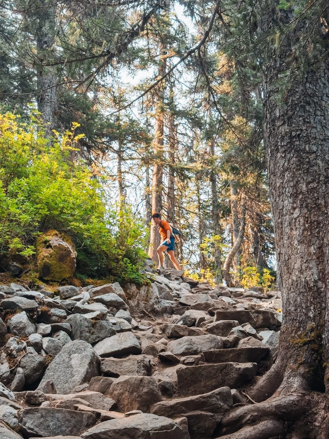 hiker on rocky section near upper Joffre Lake