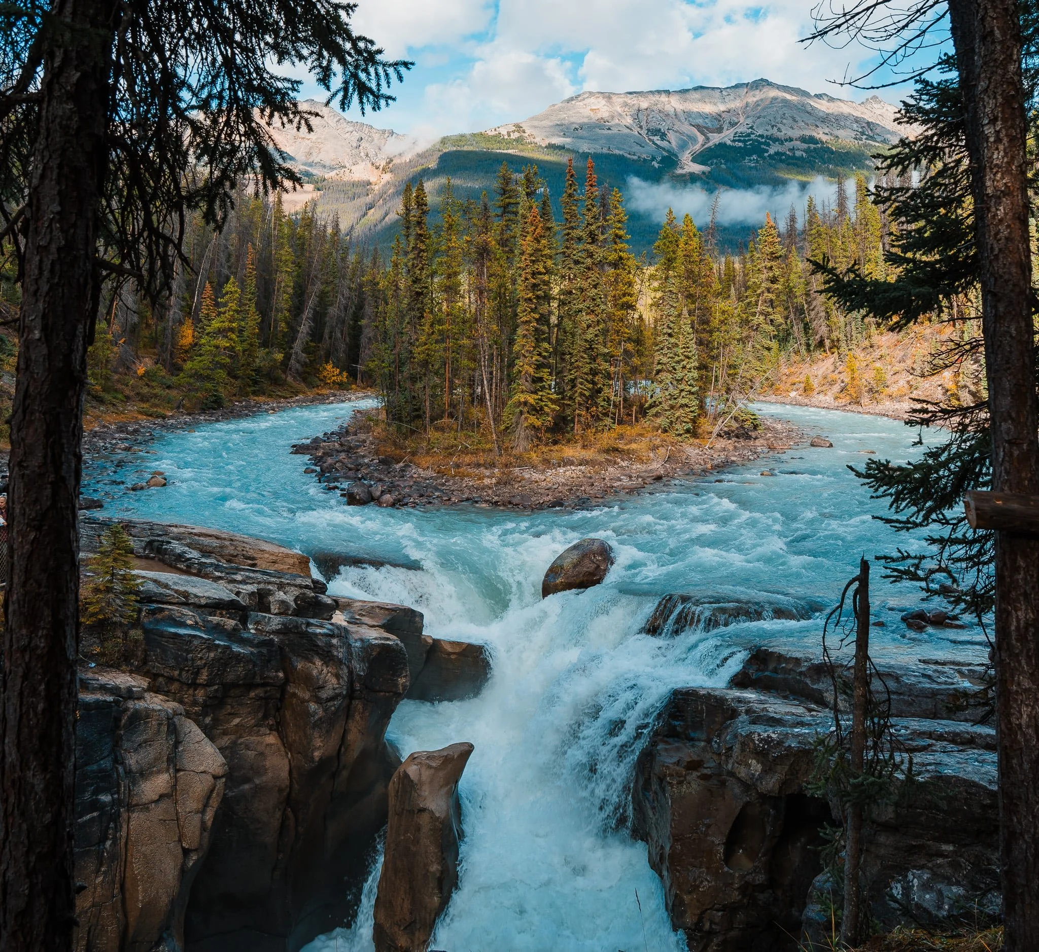 A river cascading around an island with pine trees, and turning into a waterfall called Sunwapta Falls along Icefields Parkway near Jasper
